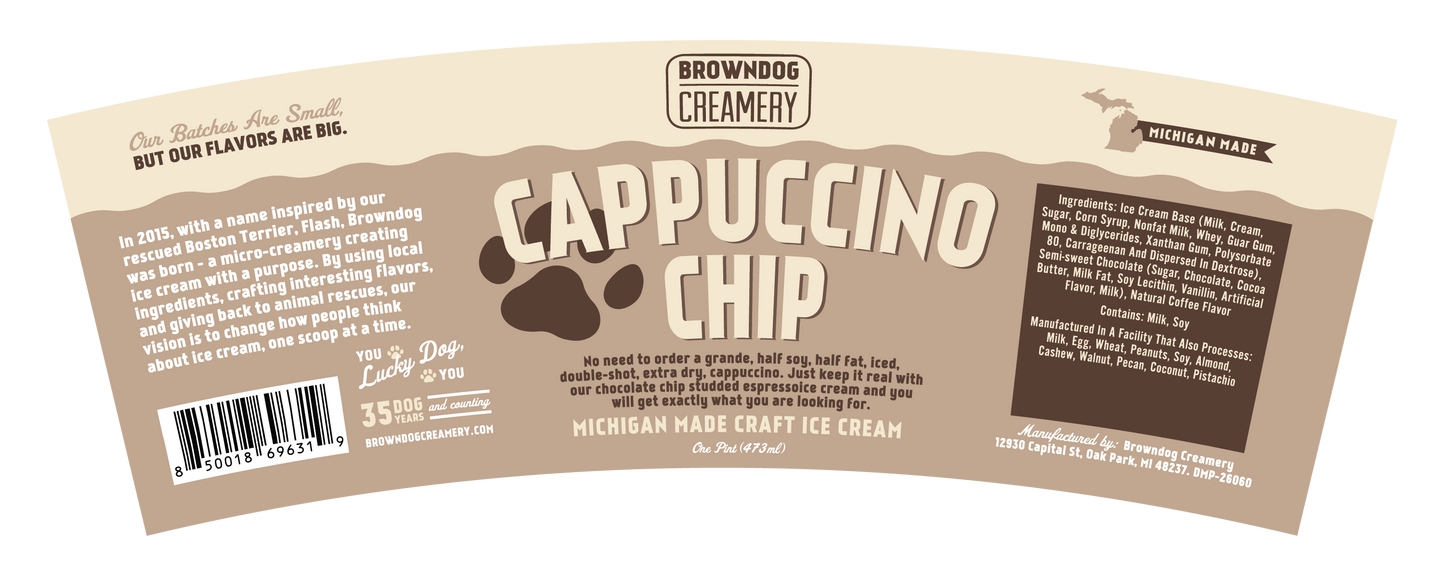 CAPPUCCINO CHIP ICE CREAM