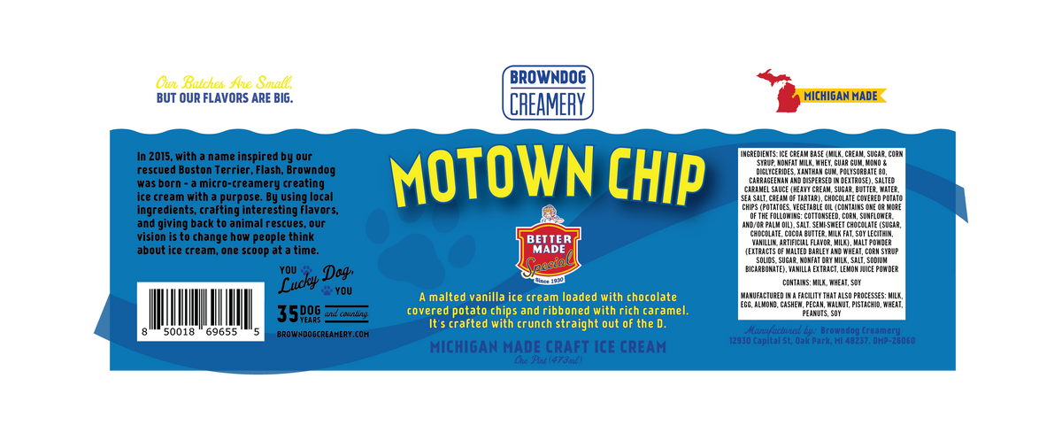 BETTER MADE MOTOWN CHIP ICE CREAM